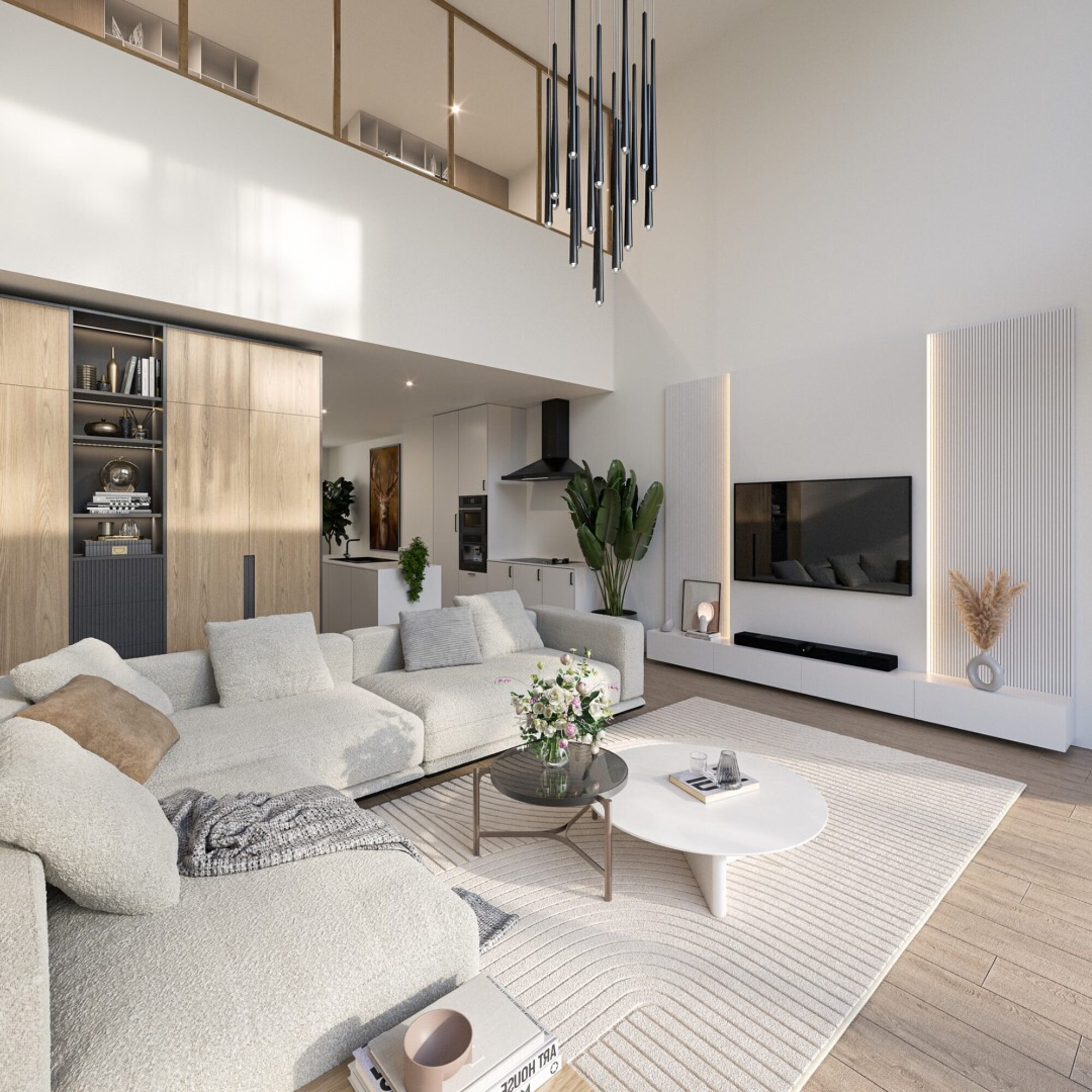 4054850-3746003562000112941-interior_B 0.1