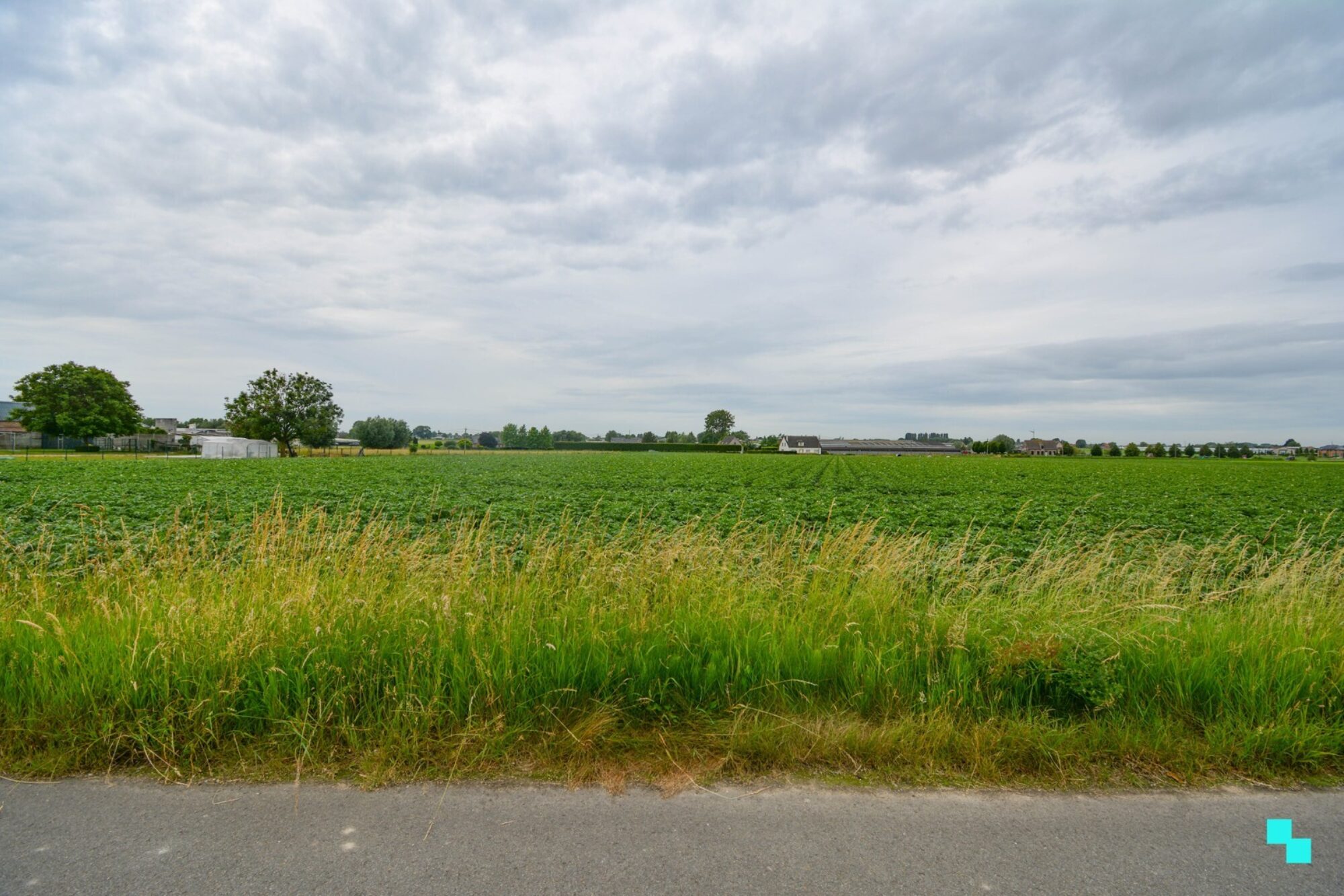 4390280-3746003562000160214-DSC_3177